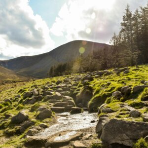 Northern Ireland Luxury Guided Walking and Belfast