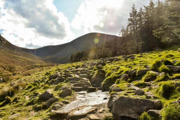 Northern Ireland Luxury Guided Walking and Belfast