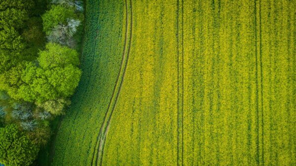 Germany: Stralsund to Berlin 2026